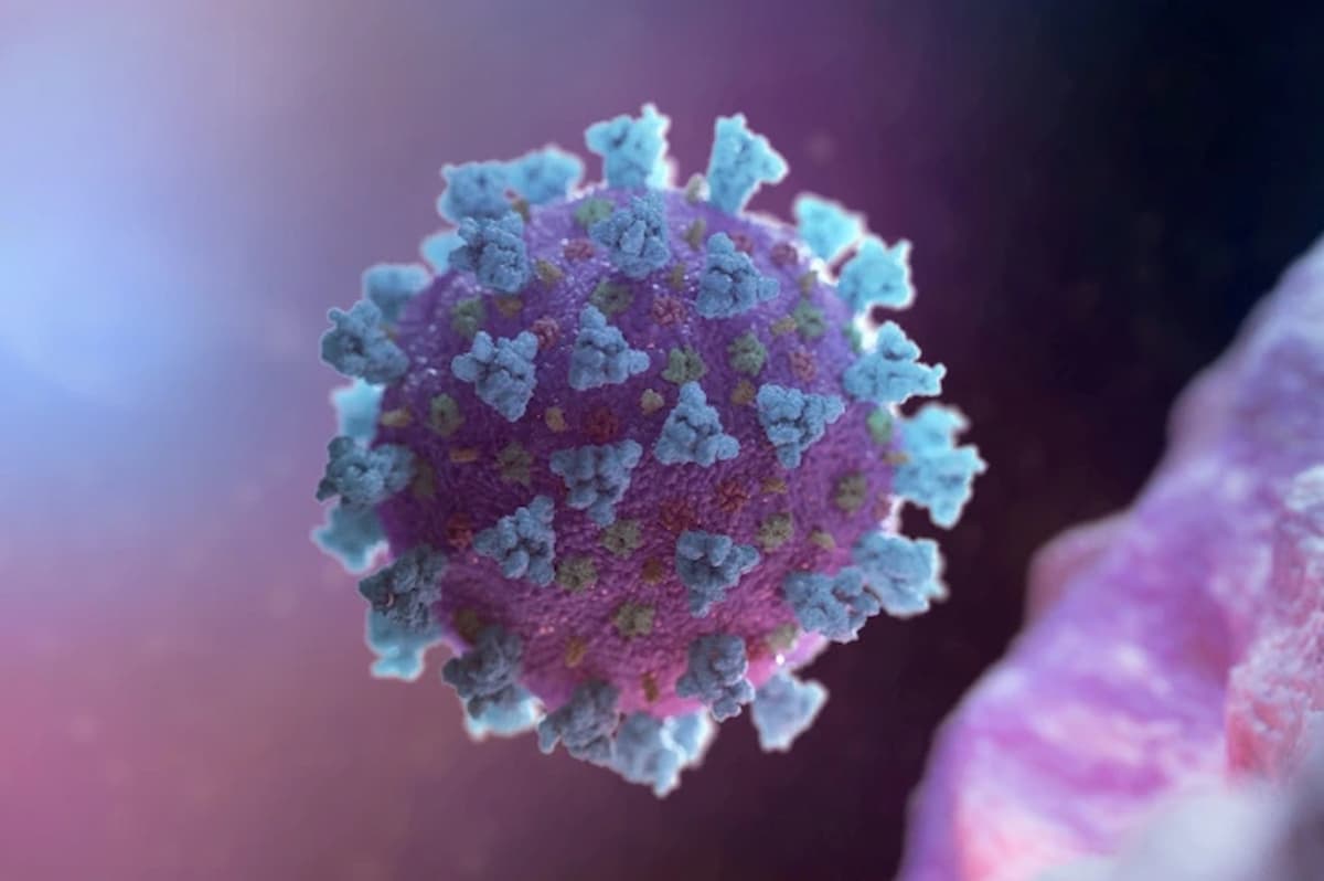 Covid, da nanotecnologia e Rna una terapia universale che bloccherà tutte le varianti del virus